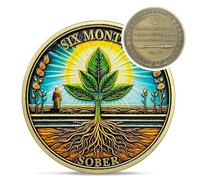 Original Six Month Sobriety Coin - Rebirth Sapling 6 Month AA Coins - Recovery Addiction NA AA Chips and Medallions - Celebrate Clean 1-12 Months Narcotics Alcoholics Anonymous Gifts for Men Women
