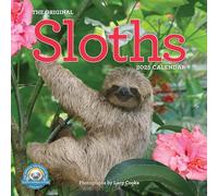 Original Sloths Wall Calendar 2025: The Ultimate Experts at Slowing Down
