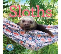 Original Sloths Wall Calendar 2026