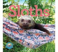 Original Sloths Wall Calendar 2026