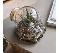Star Wars Original Stormtrooper Terrarium