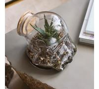 Original Stormtrooper Terrarium/Cookie Jar - Clear, based on the Original Stormtrooper Helmet design