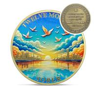 Original Twelve Month Sobriety Coin - Recovery 12 Month View AA Coins - Na Ha AA Chips and Medallions - 1-10 Prime Sobriety Chip Alcoholics Anonymous Gifts for Men Women