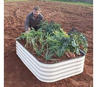 Original Veggie Bed Paperbark Garden Planting Merino White Vegetable Planter Easy to Grow our Own 2x Veg Bed by Thompson and Morgan. (Merino White)