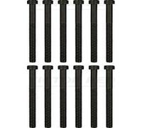 Original Victor Reinz Cylinder Head Screw Set 14-32190-01 for VW