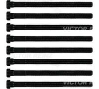 Original VICTOR REINZ Cylinder Head Screw Set 14-32196-01 for Audi Porsche