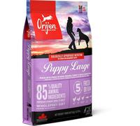 Orijen Large Breed Puppy Food - 6kg