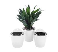 ORIMERC 3 Pack Self Watering Plant Pots Wall Hanging Basket Over Fence Planters Vertical Garden Hang Plastic Container Indoor Outdoor for Plants Flowers Succulent Living Herbs Holder White Small