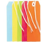 Orion Stationery 30 Pcs Tie On Luggage Labels/Storage Card Tags with String - Pre Strung Luggage Tags Brown Multicolor (75 X 135 mm)