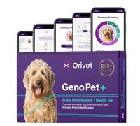ORIVET GenoPet Plus Dog DNA Test, 330+ Health Screens, Easy Home Cheek Swab