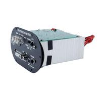 Orivin Car Audio Amplifier Board, 120W 12V Subwoofer AMP Board, Audio Amplifier Module Pure Full Tone Bass Subwoofer Core for Car Vehicle Computer Mobile Phone