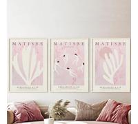 Orjdjz Wxkbl Henri Matisse Exhibition Canvas Prints Matisse Cut Outs The Dance Poster Pastel Pink Flower Wall Art Retro Painting for Home Decor 16x20in Unframed