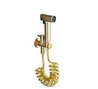 ORKDFJ Grey Gold Handheld Bidet Sprayer Kit Wall Mount Coiled Hose Copper Valve Bathroom Hygiene Fixture(D)