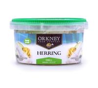 Orkney Cured Herring in Dill Marinade 500gr x 4 Units - Traditional Marinated Herring Fillets with Fresh Dill