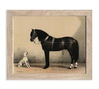 Orloff Horse Art Prints by Emil Volkers A Black Horse and A White Dog Poster Famous Painter Classic Vintage Oil Painting Canvas Prints Gallery Wall Decor (11"x14" FRAME)