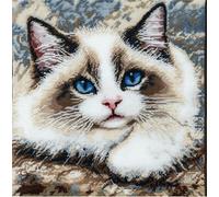 ORLUMY Latch Hook Kits for Adults,Ragdoll Cat Latch Hook Kits Animal Pillow Printed Cushion Crochet Yarn Embroidery Needlework 17X17In
