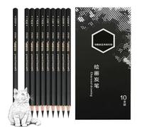 Ormromra 10 Pieces Charcoal Pencils Drawing Set, Highlight Sketch, Sketching Charcoal Sketch Drawings Pencils,Premium Wood, Pencils for Beginners, Artists and Professionals