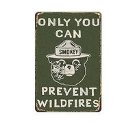 Ornament Smoky the Bear Only You Can Prevent Wildfires Plaque Tin Bathroom