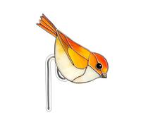 Ornaments Decoration! Acrylic Potted Bird Flower Pot Decoration Unique Design Helps You Create A Space and Show Your!