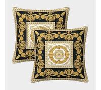 Ornate Gold Frame-Baroque Decor Style Pillow Covers 2 Pack Cozy Pillowcase Art Cushion Cover with Invisible Zipper Decorative Couch Living Room 50x50cm