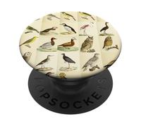 Ornithology Graphic Featuring Vintage Bird Illustrations PopSockets Adhesive PopGrip
