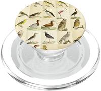 Ornithology Graphic Featuring Vintage Bird Illustrations PopSockets PopGrip for MagSafe