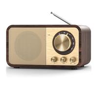 Orolotay FM Radio with Reception,Bluetooth Portable Transistor Radio with 5W Speaker,Rechargeable Vintage Radios for Home Outdoor
