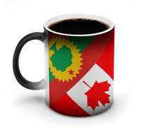 Oromo Liberation Front Canada Flag Magic Coffee Mug Color Changing Cup