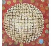 O'Rourke,Jim - Bad Timing [VINYL]