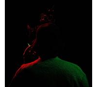 O'Rourke,Jim - Simple Songs [VINYL]