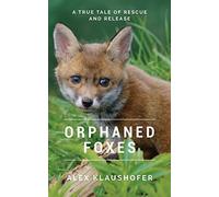 Orphaned Foxes: A true tale of rescue and release