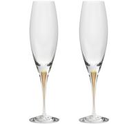 Orrefors Intermezzo champagne glass 26 cl 2-pack Gold