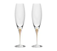 Orrefors Intermezzo champagne glass 26 cl 2-pack Gold