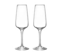 Orrefors Pulse champagne glass 28 cl 2-pack Clear