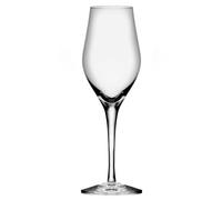 Orrefors Sense champagne glass 25.5 cl 6-pack Clear