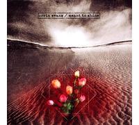 Orrin Evans - Meant To Shine