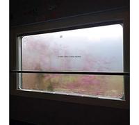 Orsi Fabio - Forse Arrivi (Ltd. 100 Copies) [VINYL]