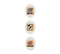 Orsina 3 Assorted Farm Animal Plaque Home Wall Décor in White Orsina White