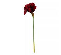 Orsina Amaryllis Stem - 72Cm Burgundy, Deep Burgundy Petals With Realistic Texture And Form, Striking Faux Flower