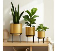 Orsina Avento Set Of Three Gold Finish Planters