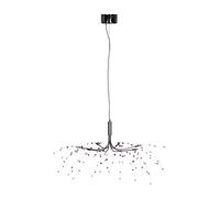 Orsina Black & Clear 8 Light Ceiling Light, Adjustable Chrome Stems, Striking Centrepiece For Modern Interiors in Purple Orsina Purple