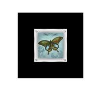 Premier Housewares 1-Piece Butterfly Design Framed Wall Art