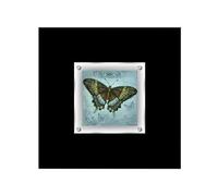 Premier Housewares 1-Piece Butterfly Design 2 Framed Wall Art