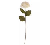 Orsina Cream Hydrangea Stem Artificial Plant Foliage