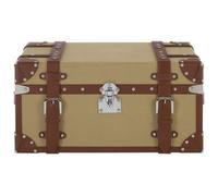 Orsina Ecofriendly Small Canvas Storage Trunk, Durable Design Large Storage Trunk For Livingroom, Vintage Big Trunk