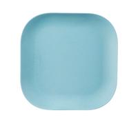 EDEN BLUE DINNER PLATE