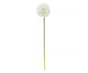 Orsina Fiori 72Cm Allium Stem Ivory Flower Artificial Plant Foliage