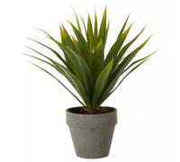 Orsina Fiori Agave Succulent, Cement Effect Pot in Grey Orsina Grey