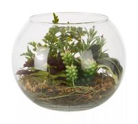Interiors by PH Large Glass Pot Mixed Succulent, Clear
