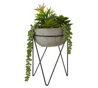 Orsina Fiori Mixed Succulent with Metal Stand in Grey Orsina Grey